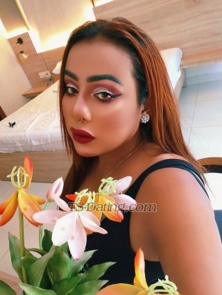 trans girl Domgirlpussy 1810735 trans girl Domgirlpussy 1810735