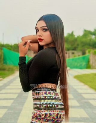 trans girl Dreamgirltina 3384755