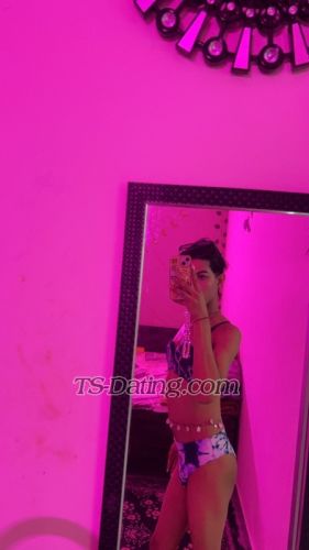 trans girl Dreamydiva 7822774 trans girl Dreamydiva 7822774