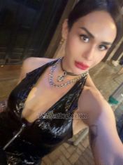 dProvocateur Hong Kong TS escort 