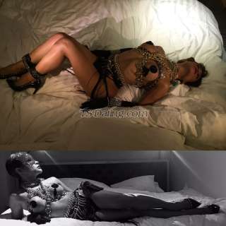 trans girl dProvocateur 3127519