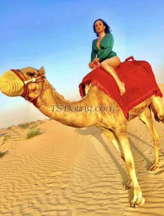 trans girl dProvocateur 8749606