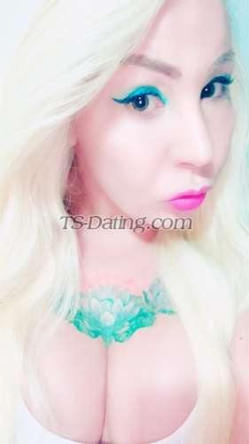 trans girl daniela 1549652