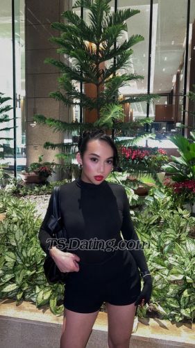 trans girl daniellecarbs 8169507