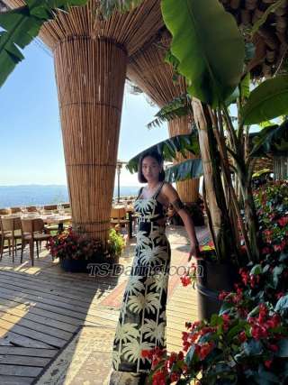 trans girl diane24 9237528