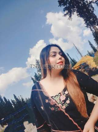 trans girl dimpy287 3802007