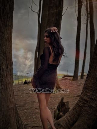 trans girl dirtyCutee 8228645