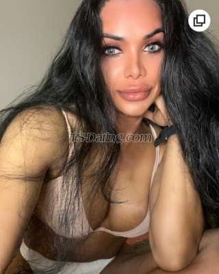 trans girl EBONYGODDESS 9877872 trans girl EBONYGODDESS 9877872