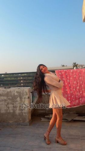 trans girl Elenatrans girl 6108518