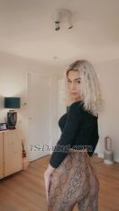 Eleni2026 Amsterdam Transex Hello, my name is Eleni.

I offer discreet and refined companionship for those who appreciate elegance, mutual respect, and genuine connection. I am a well-groomed, calm, and open-minded trans woman who values clear communication and personal boundaries.

Whether you are looking for a relaxed escape, a pleasant evening together, or private company in a comfortable setting, every meeting is approached with care and attention to detail. Discretion, hygiene, and respect are always given and expected.

All photos are real. I prefer honest conversations and clear expectations before meeting, so that our time together feels natural, safe, and enjoyable.

Let’s start with a conversation and see where the moment leads.