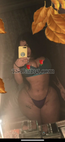 trans girl Elnaz 7767602