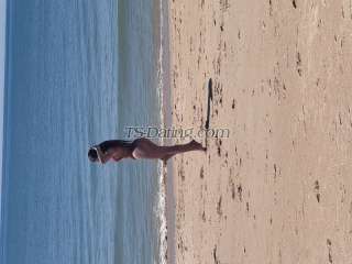 trans girl EmillyJapa 3597340 trans girl EmillyJapa 3597340