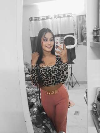 trans girl EroticAriyaa 3258166