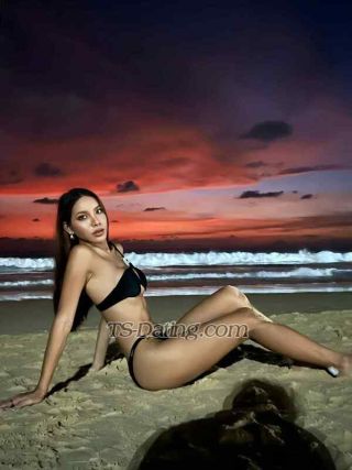 trans girl Estradiaon 9984178