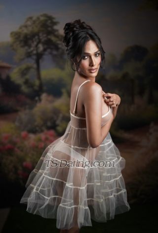 trans girl ExoticMaya 6168504 trans girl ExoticMaya 6168504