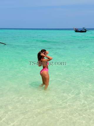 trans girl elitaxxxl 9320910 trans girl elitaxxxl 9320910