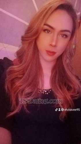 trans girl elviravee95 1151739