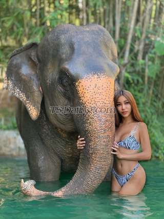 trans girl Sintyadian 5872687