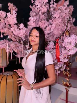 trans girl FANTASYTS 7853838 trans girl FANTASYTS 7853838