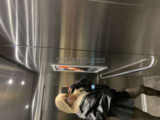 trans girl Femboyyours 7305942