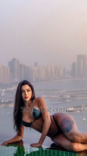 trans girl Fezinha 3436461