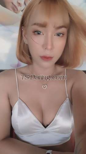 trans girl Focuszim1510 7754863 trans girl Focuszim1510 7754863