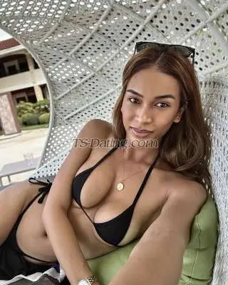 Shemale FoxyLara 3655271 Shemale FoxyLara 3655271