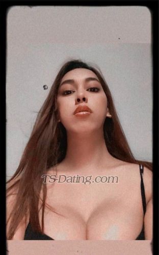 trans girl Freetop69 8702715