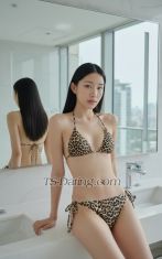 fernfernfenr Bangkok Transex GIRLFRIEND EXPERIENCE
on prep and vaccine 
condom 100%
WhatsApp +66 632499425
Telegram @lilyilusm
WeChat frederiquef
🏳️‍⚧️🪽