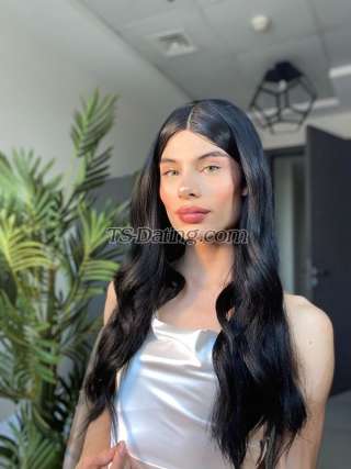 trans girl GabiiXl 3171077