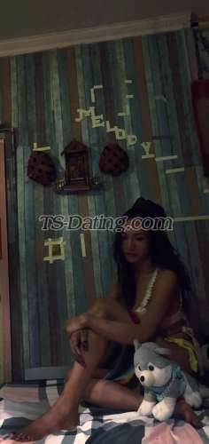 trans girl Galexy 3456250