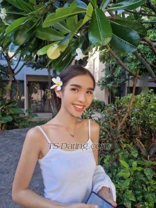 trans girl Gegee1995 8958504