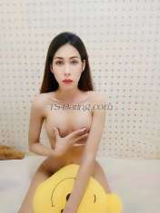 Getzy Koh samui Transex My Name  Getzy
I'm a ladyboy can top and bottom 
I love travelling and meeting new people.
I live in koh samui chaweng 
Line ID   getsmile2015
WhatsApp +66895893554
Instagram  get_napatchanan
 Who come to Thailand and want to find new friends I can go and enjoy you throughout the trip I can be friends, eat, drink, party throughout your stay in Thailand. 

 I can move to another country with who love me and really want me 