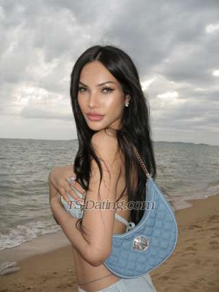 trans girl GinaSexyThai 8618755