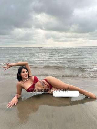 trans girl GisellTorres 8376454