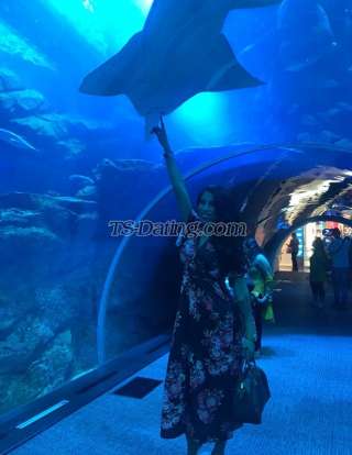 trans girl Giulytx 4560186