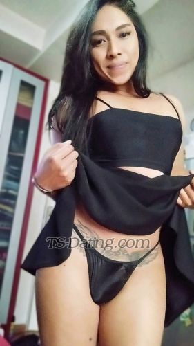 trans girl Gladysa 4229277