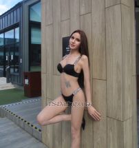 Gmail699 Bangkok Transex WhatsApp and telegram : +Six six nine eight eight two nine
one six zero sixTelegram: @babegmailWechat :
Jasmail05🔈Hello, my name is Mail.thick cock
hard and cum lotAm 24 years old, from Thailand mixed
Colombia , cute, beautiful. time at hongkong now in en't had
gender reassignment surgery yet. Cock size 17 cm.❤️
You can call me Mail from 🇹🇭 mix
🇪🇨🪒🪒No send porn photos.
🔏🔏SERVICES INCLUDED 🍆- good fuck
✔️- cum together ✔️- Sex with condom
✔️- Blowjob CIM  ✔️- Girlfriend Experience
✔️- Handjob ✔️- french kiss ✔️-
69 position ✔️*Use medicine
PreP❤️‍🩹*✅ Healthy and clean.  ✅
Blood tests have been ❌  HIV, AIDS , Syphilis ,❌
