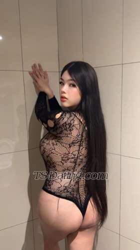 trans girl Chubbymayumi 2387948