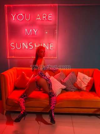 trans girl Gracez69 4569452