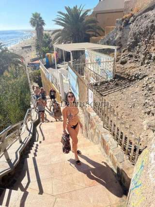 trans girl Haileyts69 3872852