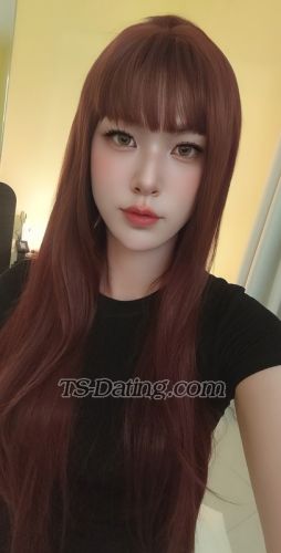 trans girl HanHan 5783839 trans girl HanHan 5783839