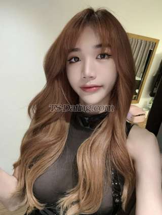 trans girl Happytogather 3938570