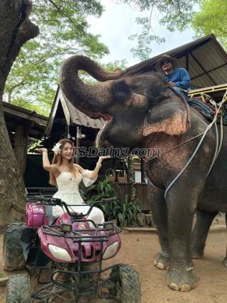 trans girl Happytogather 8338614