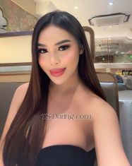 HardCockAnna Ximending Transex WhatsApp: +639952853469Line id:
annajen24Telegram : @Anna091646WeChatID:
Annajen24Its me TS Anna 24 years old stunner…
Young and fresh just landed with fully
functionalhygienic and discreet. I am a delightful
young ladyboy who will surely you a great time, with no
rush. And I am easy to communicate,And offer you my
fantastic performance all the way, to the fullfil your
fantasy by having a sexy, slim, and smooth body with fully
functional almost 6 inches hard dick which is the best
combination to satisfy you and give you a great pleasure of
romance that you will never forget. I am a power top and
sweet bottom. I am available anytime! see you soon babe
Clean and Safe Always TestedOn Prep

