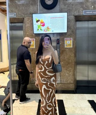 trans girl HardCockAnna 7073232