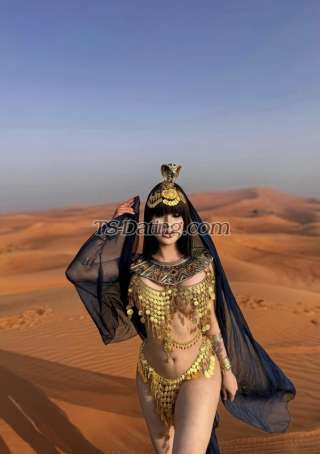 trans girl Harddfuckerr 1446120