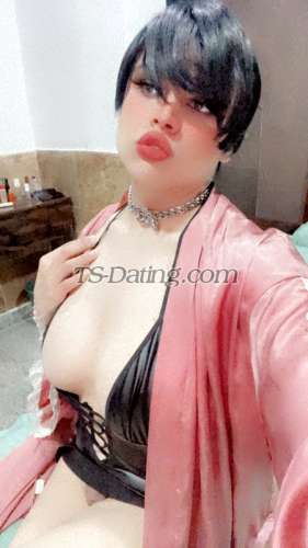 trans girl Hebaopi 5896960