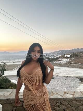 trans girl Holly10 3061733