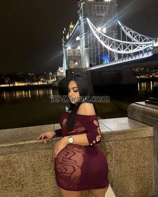 trans girl Holly10 8666046